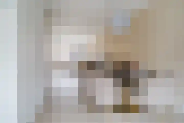 Raaigras 23 Assendelft thumbnail 17