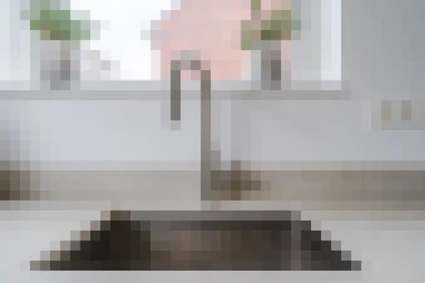 Raaigras 23 Assendelft thumbnail 18
