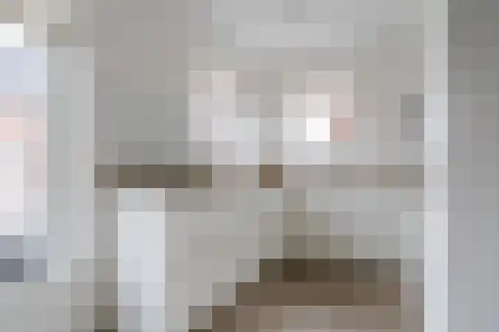 Raaigras 23 Assendelft thumbnail 19