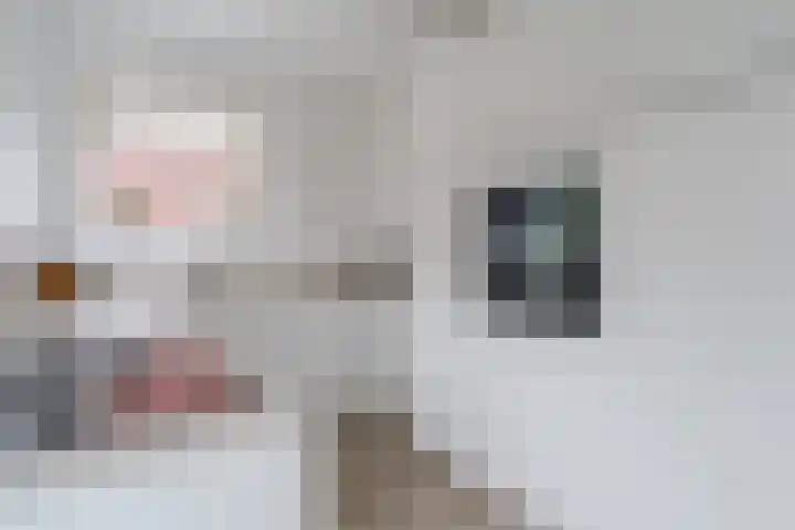 Raaigras 23 Assendelft thumbnail 20