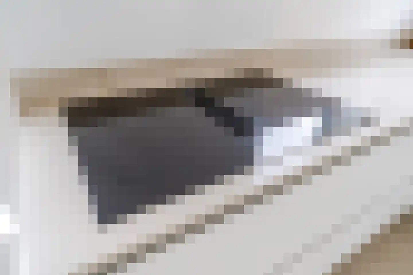 Raaigras 23 Assendelft thumbnail 20