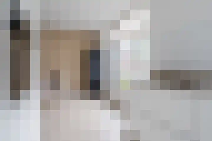 Raaigras 23 Assendelft thumbnail 22