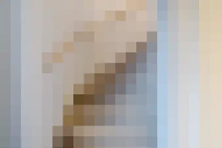 Raaigras 23 Assendelft thumbnail 25