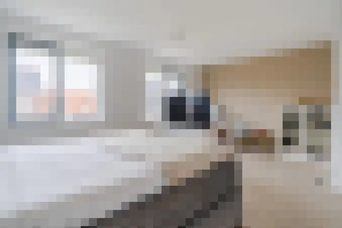 Raaigras 23 Assendelft thumbnail 25