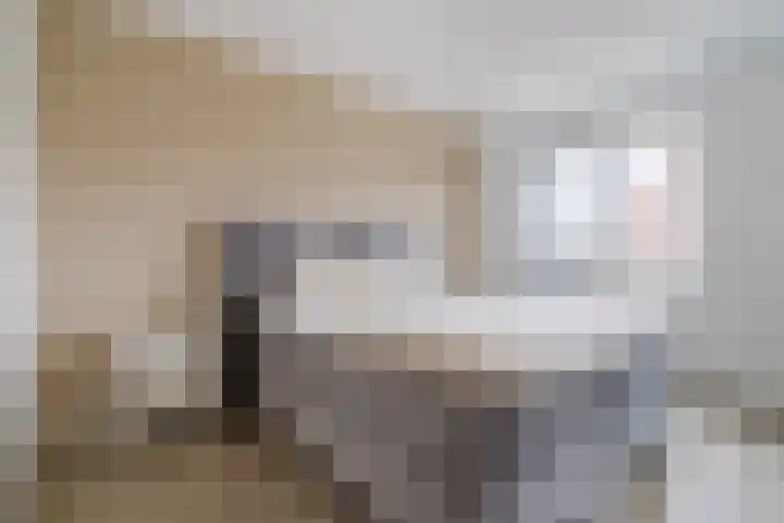 Raaigras 23 Assendelft thumbnail 27