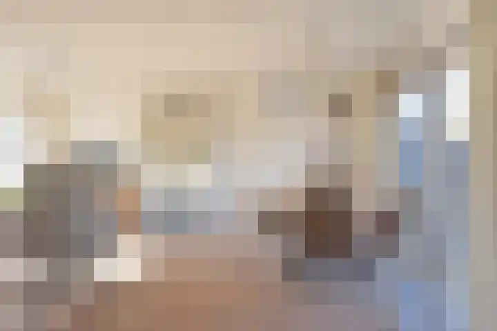 Raaigras 23 Assendelft thumbnail 29