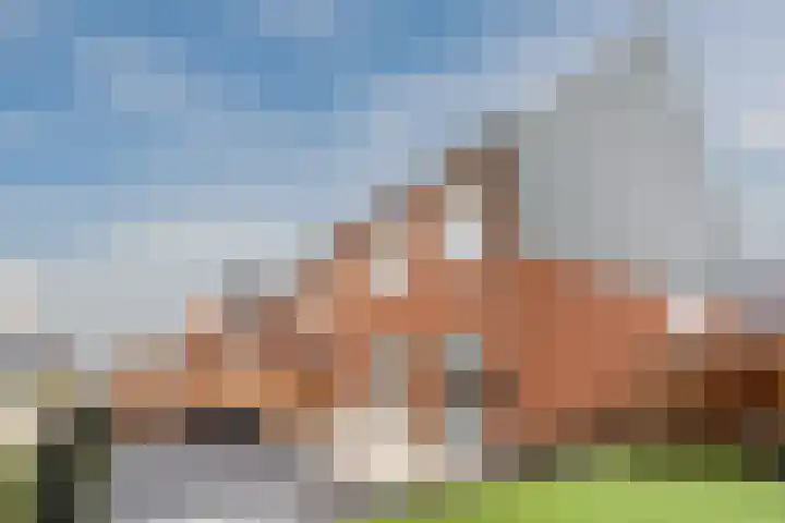 Raaigras 23 Assendelft foto 3