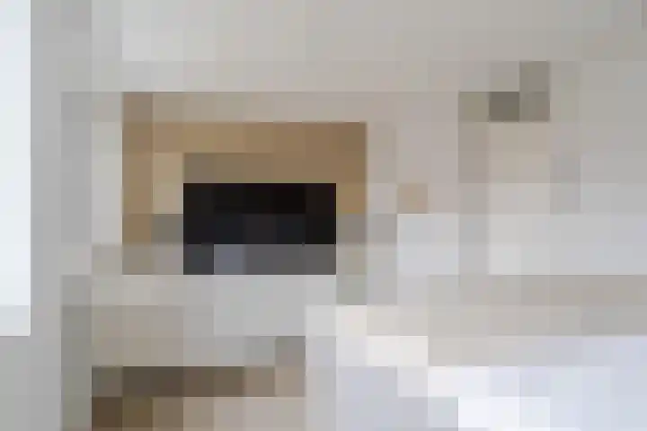 Raaigras 23 Assendelft thumbnail 30