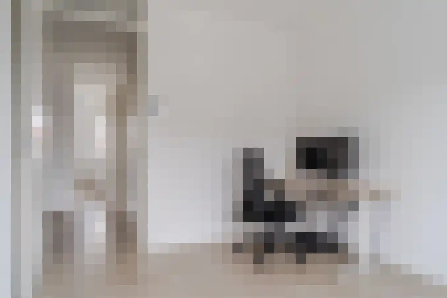 Raaigras 23 Assendelft thumbnail 30