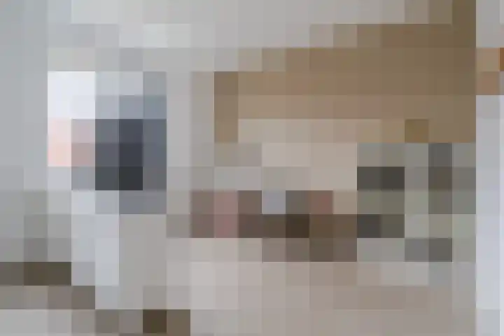 Raaigras 23 Assendelft thumbnail 31