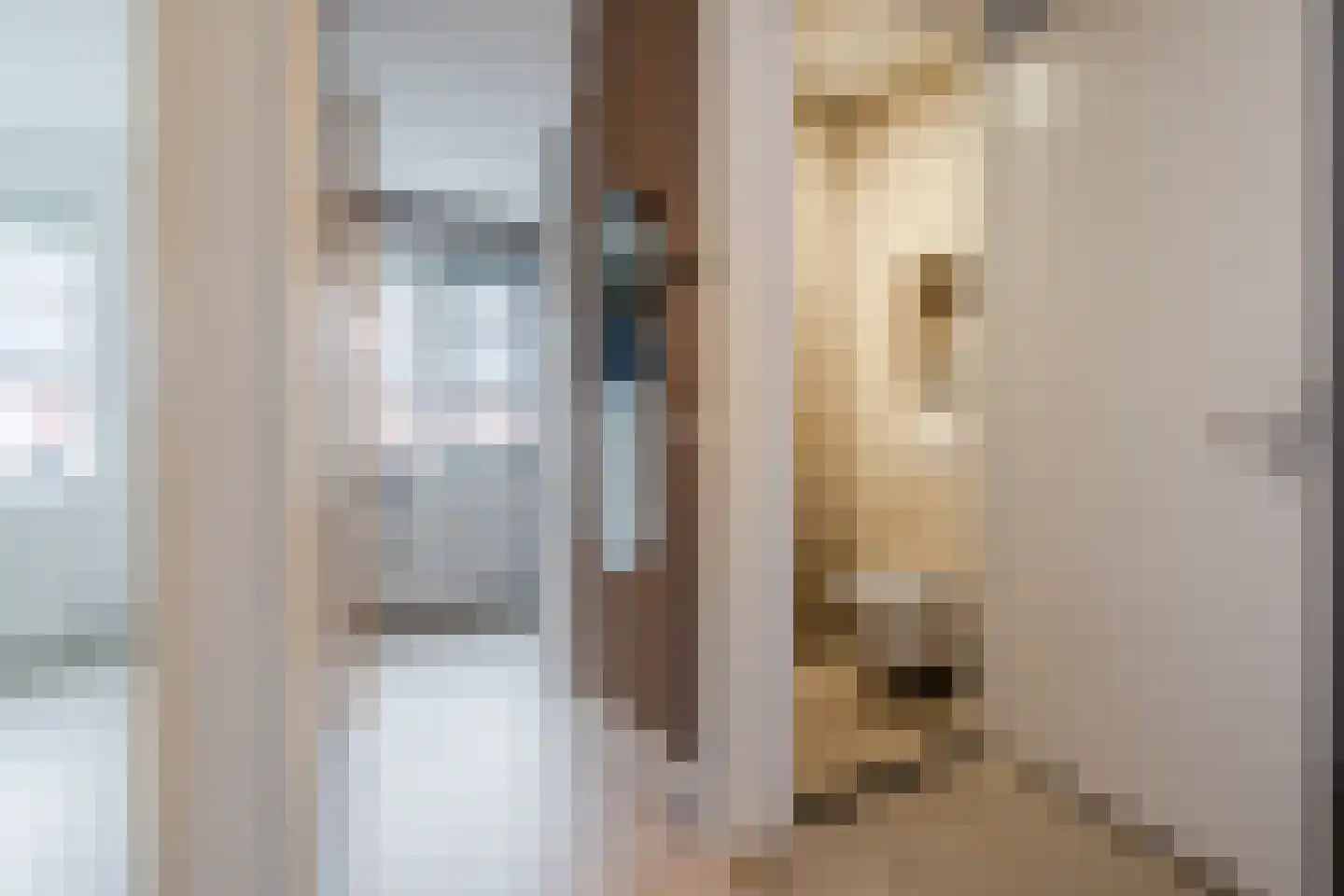 Raaigras 23 Assendelft thumbnail 33