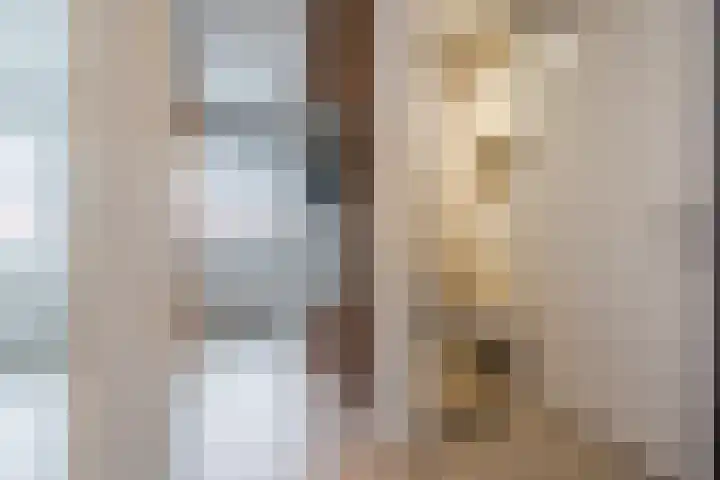 Raaigras 23 Assendelft thumbnail 36