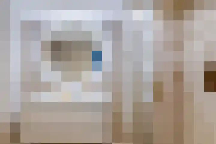 Raaigras 23 Assendelft thumbnail 4