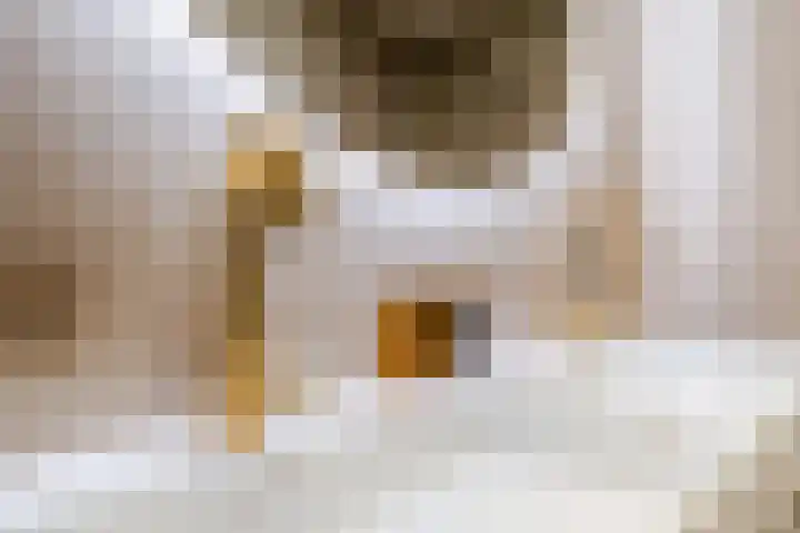 Raaigras 23 Assendelft thumbnail 40