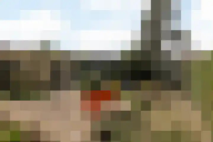 Raaigras 23 Assendelft thumbnail 42