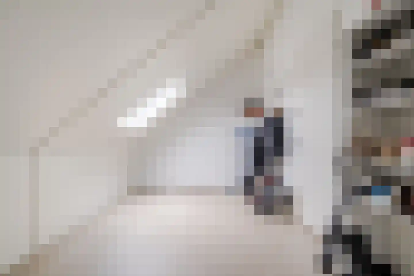 Raaigras 23 Assendelft thumbnail 44