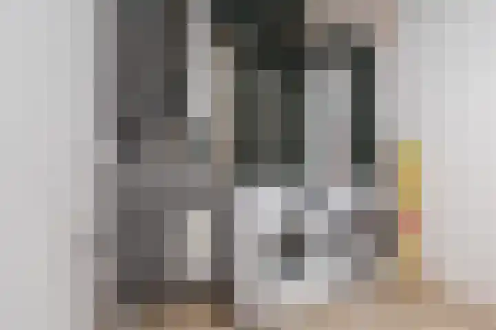 Raaigras 23 Assendelft thumbnail 48