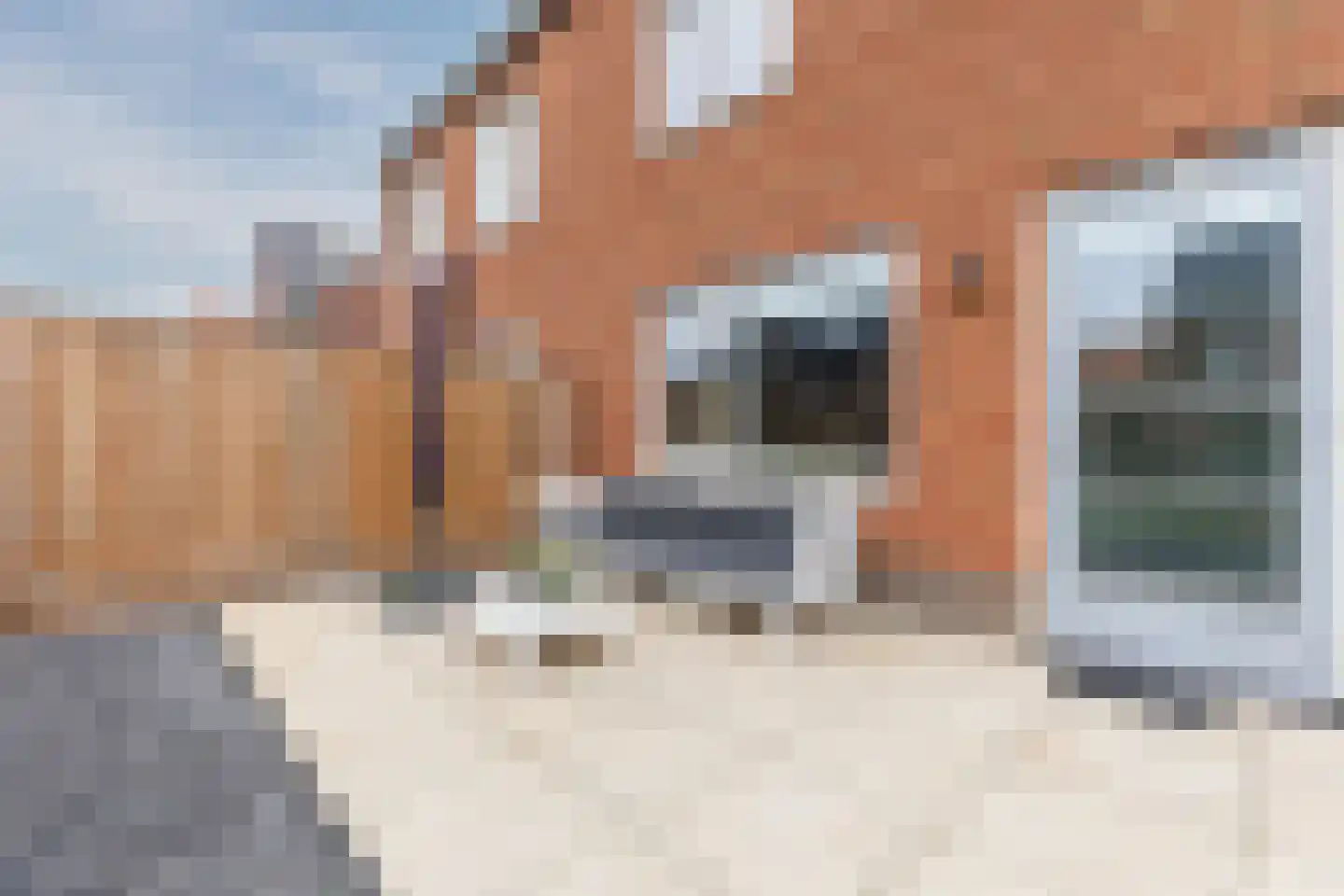 Raaigras 23 Assendelft thumbnail 49