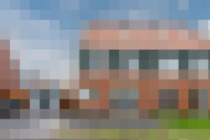 Raaigras 23 Assendelft thumbnail 5