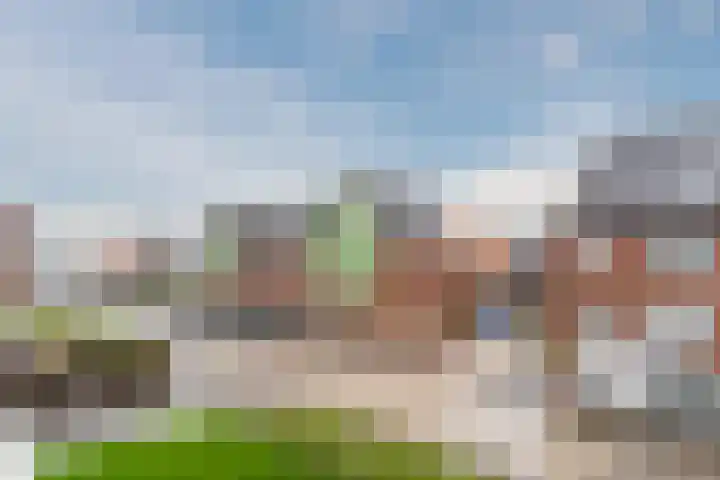Raaigras 23 Assendelft thumbnail 50