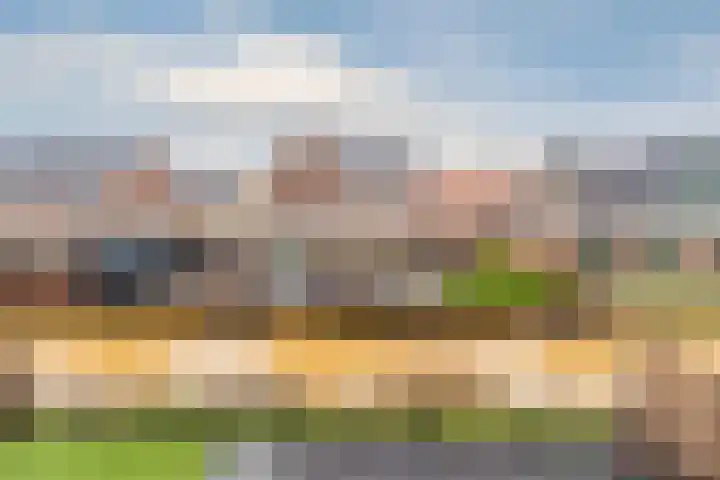 Raaigras 23 Assendelft thumbnail 51