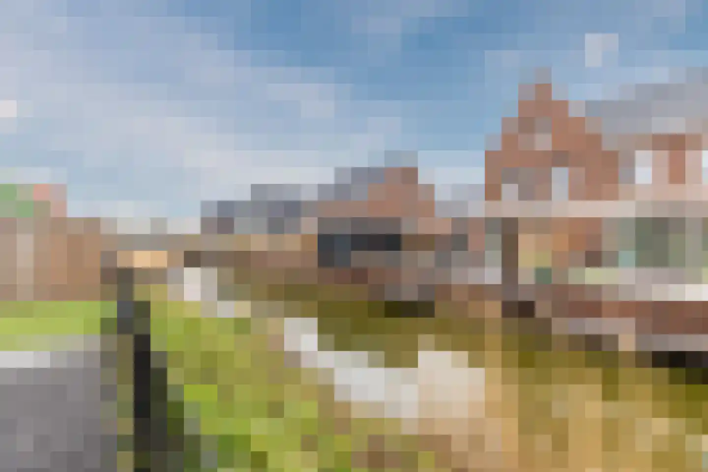 Raaigras 23 Assendelft thumbnail 51