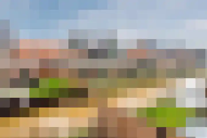 Raaigras 23 Assendelft thumbnail 52