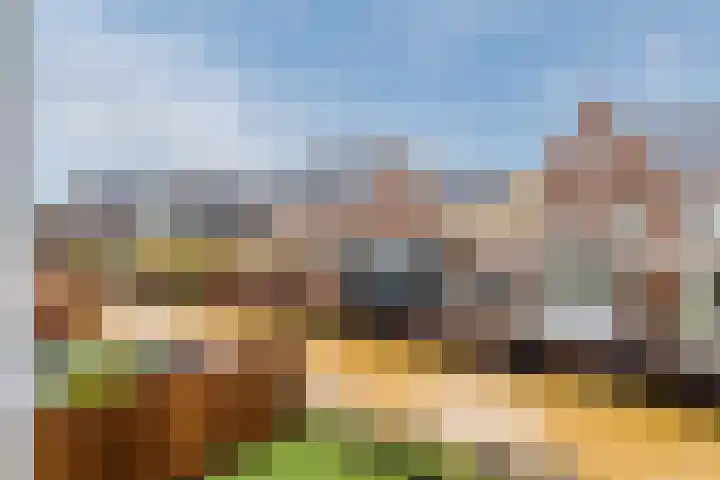 Raaigras 23 Assendelft thumbnail 53