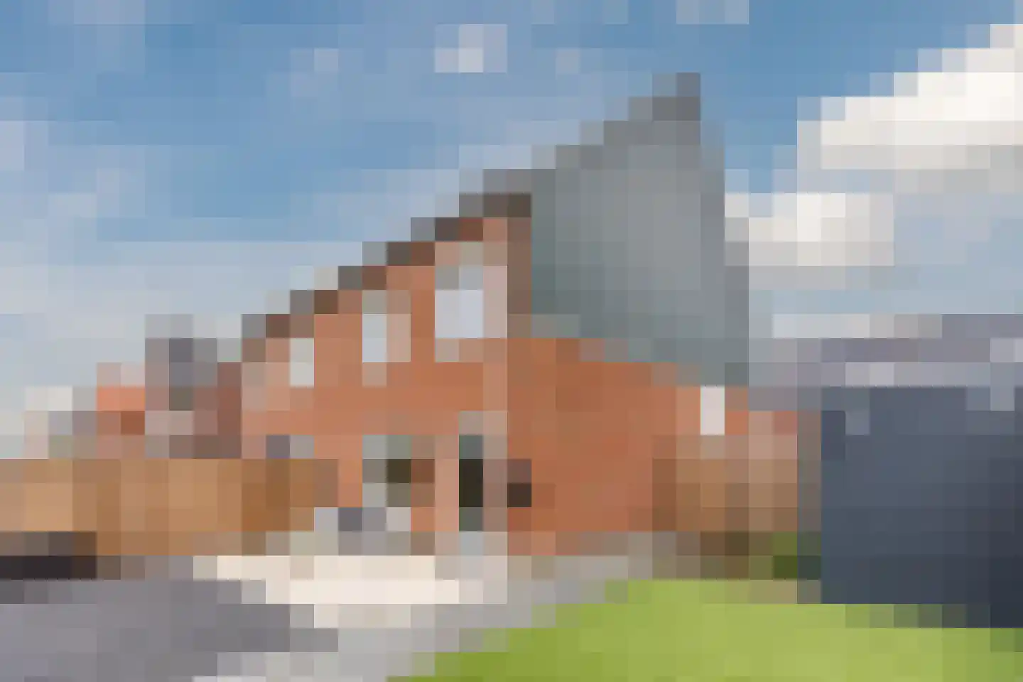 Raaigras 23 Assendelft thumbnail 53