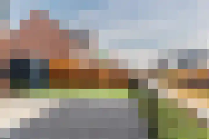 Raaigras 23 Assendelft thumbnail 57