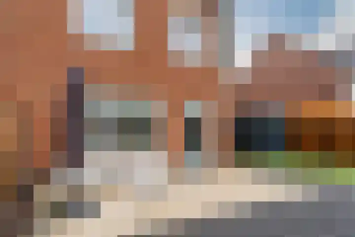 Raaigras 23 Assendelft thumbnail 58