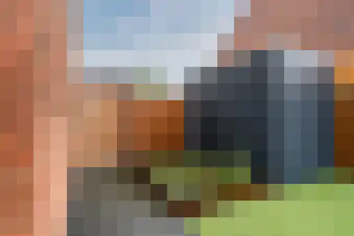 Raaigras 23 Assendelft thumbnail 59