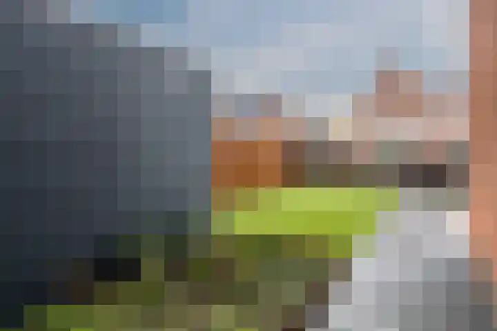 Raaigras 23 Assendelft thumbnail 60