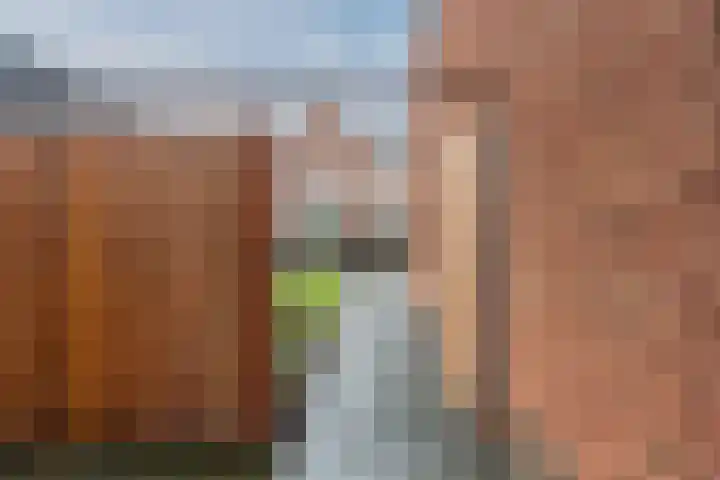 Raaigras 23 Assendelft thumbnail 61