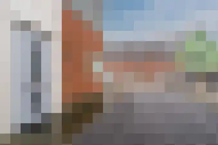 Raaigras 23 Assendelft thumbnail 62