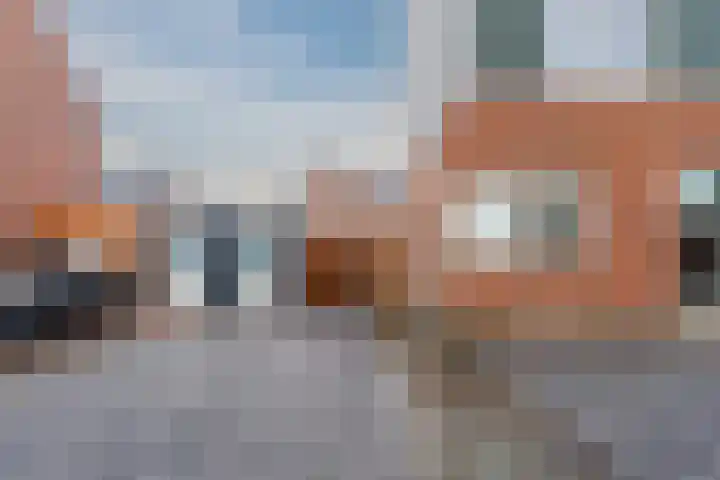 Raaigras 23 Assendelft thumbnail 7