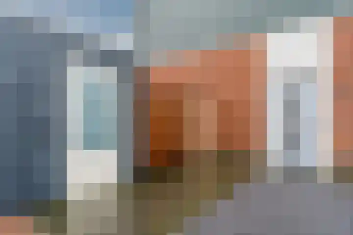 Raaigras 23 Assendelft thumbnail 8