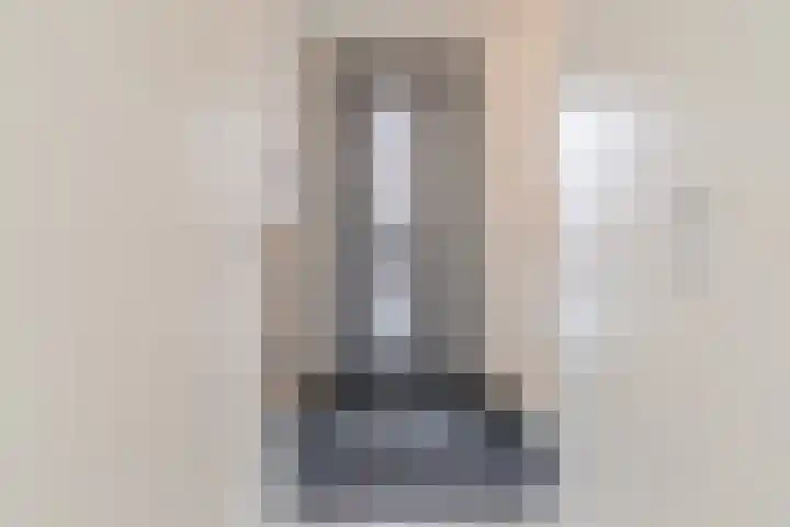 Raaigras 23 Assendelft thumbnail 9