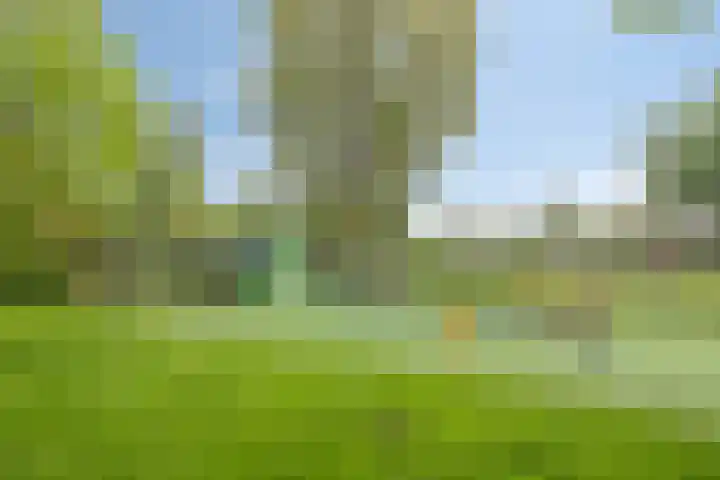 Raaigras 25 Rotterdam thumbnail 32