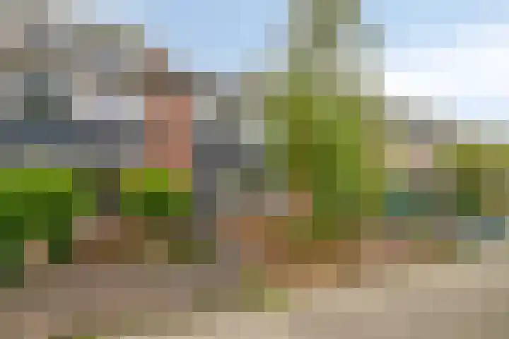 Raaigras 25 Rotterdam thumbnail 36