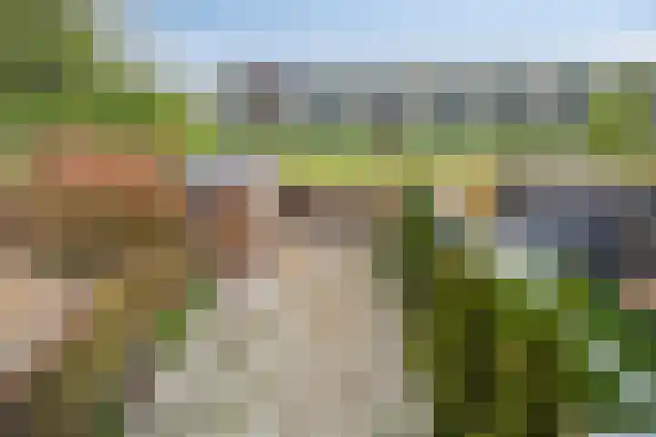 Raaigras 25 Rotterdam thumbnail 7