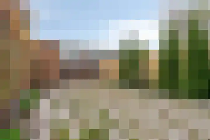 Raaigras 25 Rotterdam thumbnail 8