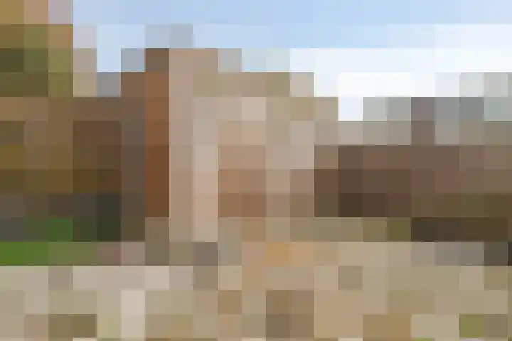 Raaigras 25 Rotterdam thumbnail 9
