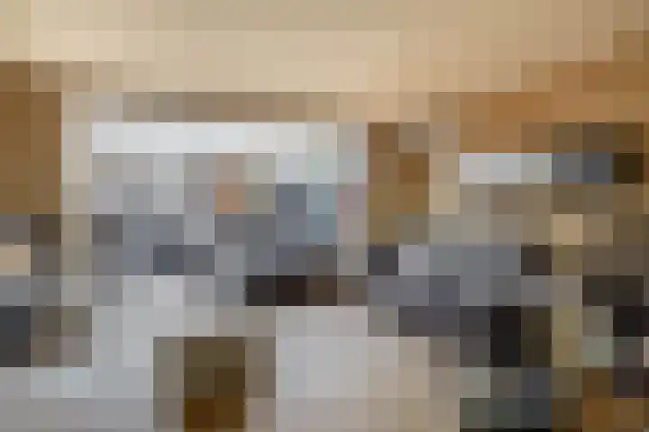Raaigras 25 Spijkenisse thumbnail 14