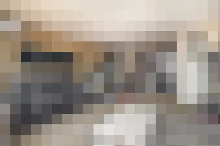 Raaigras 25 Spijkenisse thumbnail 15