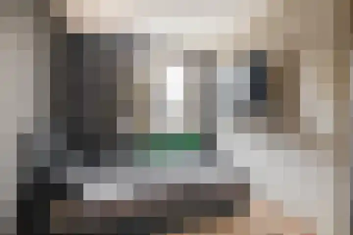 Raaigras 25 Spijkenisse thumbnail 26