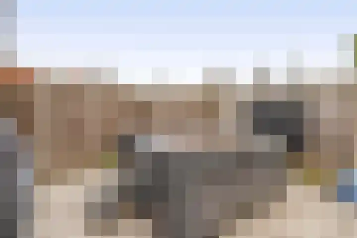 Raaigras 25 Spijkenisse thumbnail 33