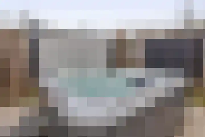 Raaigras 25 Spijkenisse thumbnail 35