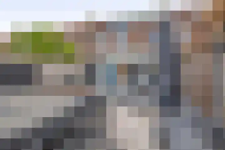 Raaigras 25 Spijkenisse thumbnail 36