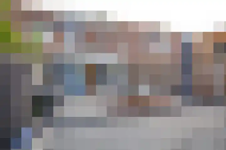 Raaigras 25 Spijkenisse thumbnail 37